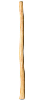 Natural Finish Didgeridoo (TW887)